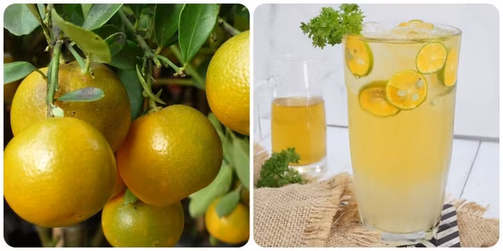 Nước quất rất tốt cho sức khỏe.