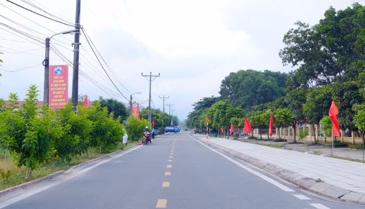 Một góc cảnh quan môi trường tuyến đường trục ở thôn Trại Dinh, xã Đầm Hà (huyện Đầm Hà)