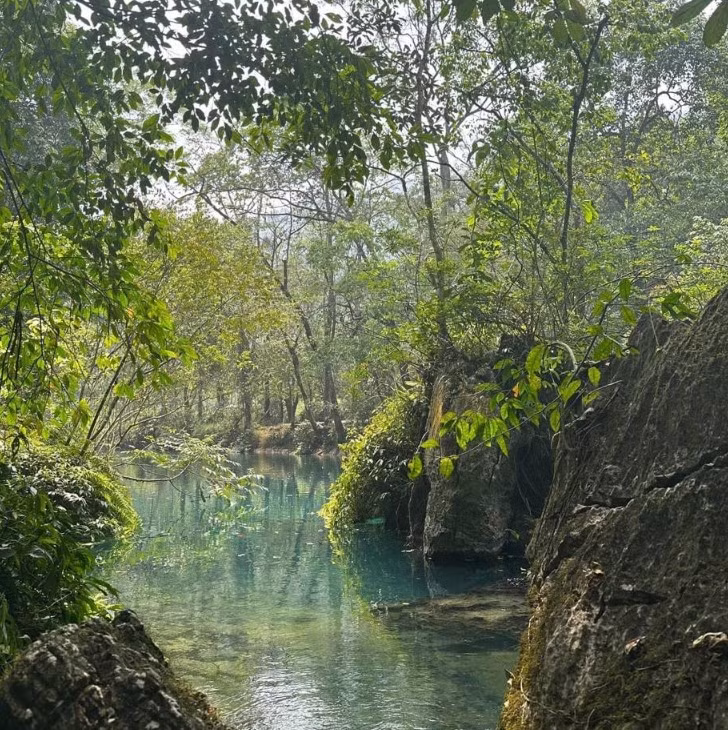 Dòng suối Lênin chảy hiền hòa dưới tán rừng nguyên sinh.