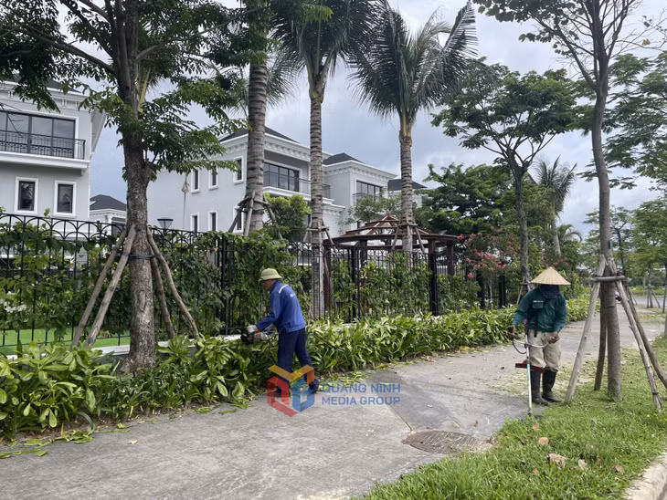 Khu Oyster Bay (phường Bãi Cháy, TP Hạ Long) với hệ thống cây xanh.