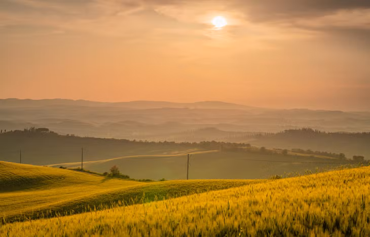 Cánh đồng lúa mì chín ở Asciano trong buổi chiều tà. Thời gian ban ngày mùa hè ở Tuscany rất dài, mặt trời mọc từ khoảng 5h30 và hoàng hôn đến vào khoảng 21h.