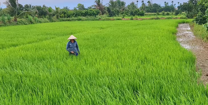 Nông dân