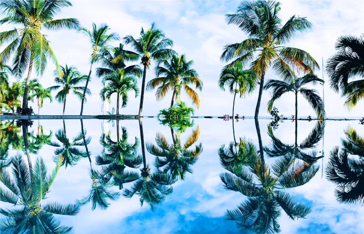 Mauritius là một quốc đảo xa xôi, nằm giữa Ấn Độ Dương. Ảnh: Dan Freeman