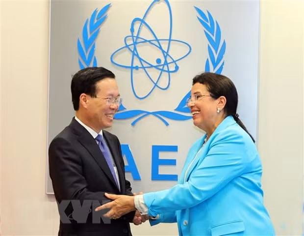 Viet Nam se tich cuc tham gia du an hop tac ky thuat IAEA khoi xuong hinh anh 1