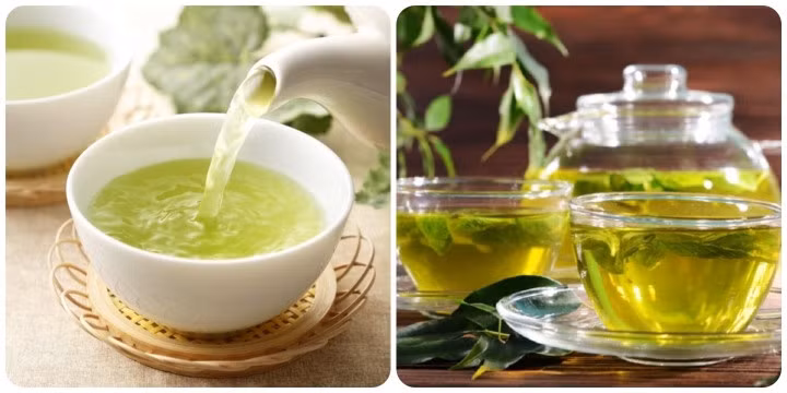Uống trà xanh thay nước lọc được không là băn khoăn của nhiều người