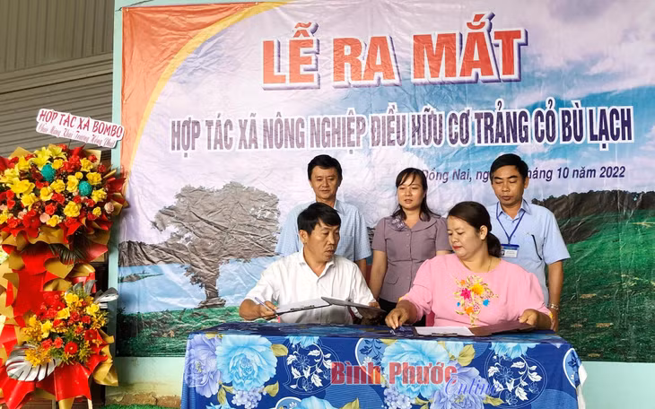 Sản xuất nông nghiệp hữu cơ - hướng đi bền vững ảnh 3 Sản xuất nông nghiệp hữu cơ - hướng đi bền vững ảnh 3