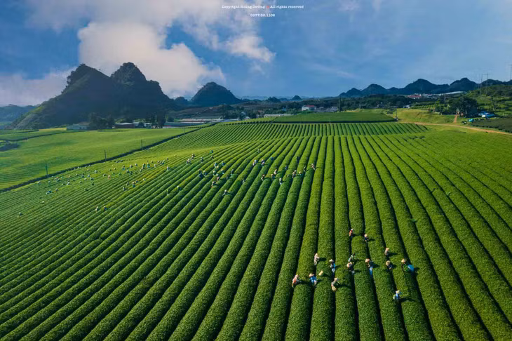 Ảnh: Hoàng Dưỡng