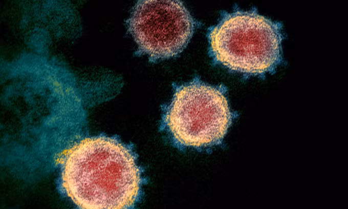 Hình ảnh virus nCoV được phân lập ở một bệnh nhân Covid-19 ở Mỹ. Ảnh: Reuters.