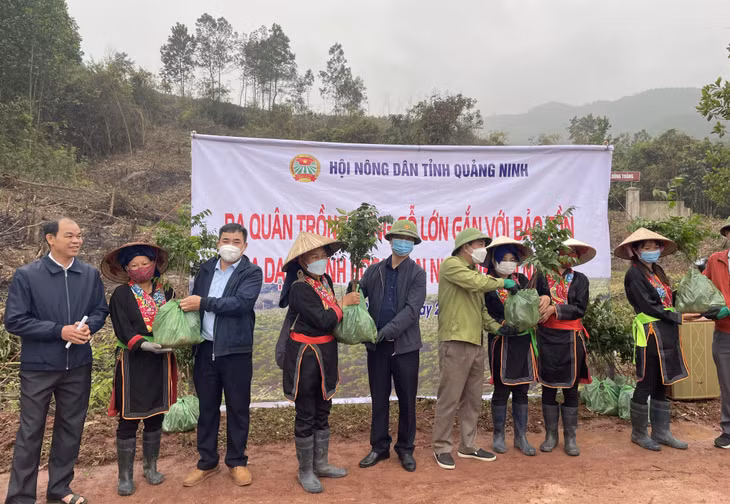 Hội Nông dân tỉnh ra quân trồng rừng gỗ lớn tại xã Thanh Sơn (huyện Ba Chẽ).
