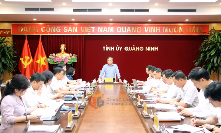 Đồng chí Vũ Đại Thắng, Ủy viên Trung ương Đảng, Bí thư Tỉnh ủy, Trưởng Đoàn ĐBQH tỉnh, phát biểu chỉ đạo.