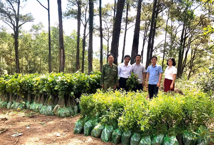 HND tỉnh kết nối nguồn cây giống cho ông Nguyễn Văn Thường (đứng giữa), hội viên nông dân TP Hạ Long phát triển mô hình trồng dổi, đàn hương, tháng 5/2021.