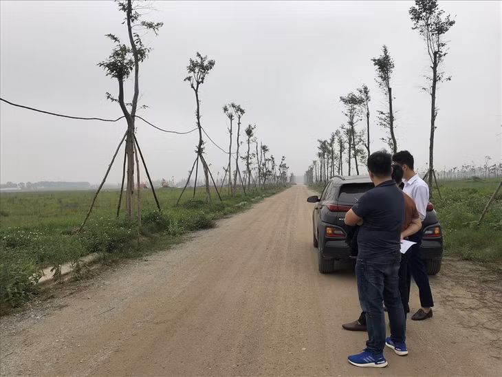 Xây dựng chế tài, tăng cường quản lý đối với hoạt động môi giới BĐS. Ảnh: Cao Nguyên