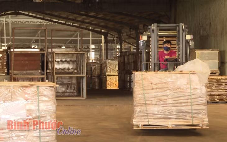 Sản phẩm mủ khối của Công ty TNHH cao su Thuận Lợi đã được đóng kiện sẵn sàng xuất khẩu