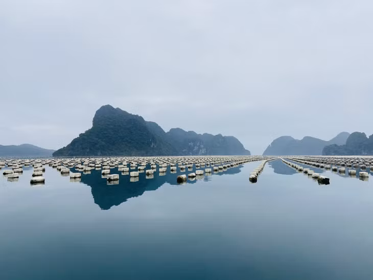 Toàn tỉnh vẫn còn gần 2,7 triệu quả phao xốp các loại cần chuyển đổi, chủ yếu tập trung ở huyện Vân Đồn.