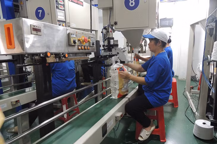 Gạo xuất khẩu chủ yếu là gạo chất lượng cao.