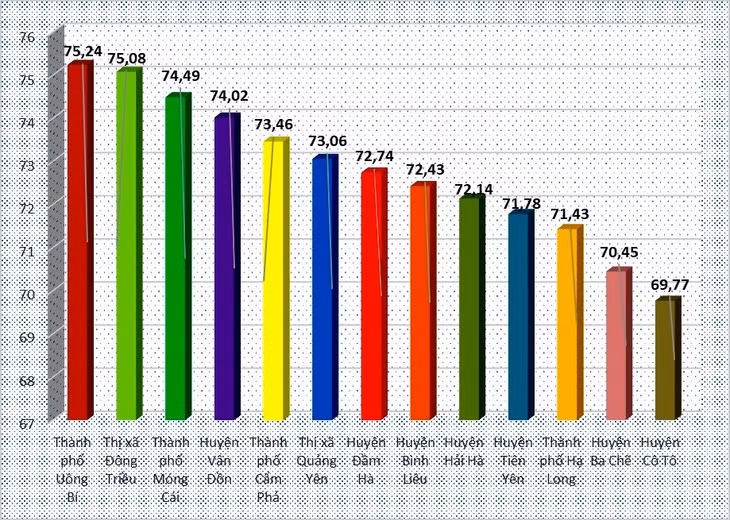 Chỉ số hiệu quả quản trị cấp huyện năm 2021.