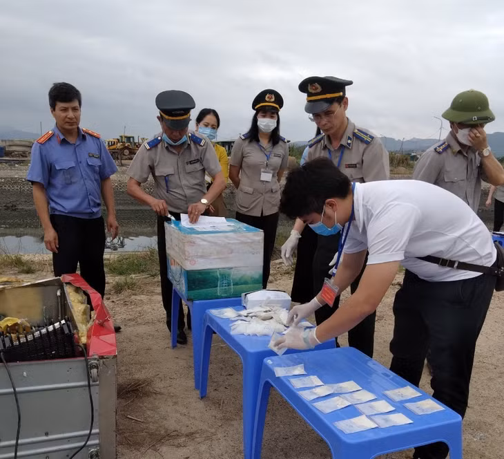 Lực lượng chức năng kiểm tra niêm phong và kiểm đếm vật chứng tại chỗ trước khi tiêu hủy.