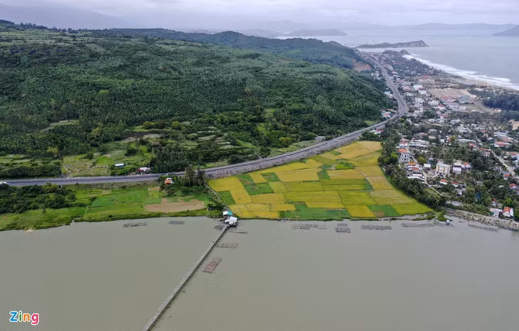 Từ trung tâm TP Tuy Hòa, du khách đi ôtô hoặc xe máy về phía bắc khoảng 35 km, đến xã An Ninh Tây, huyện Tuy An dễ dàng nhìn thấy cầu gỗ Ông Cọp nằm sát bên quốc lộ 1.