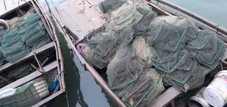 Lưới lồng sử dụng cho khai thác thuỷ sản trái phép, bị thu giữ qua các đợt thanh, kiểm tra của Chi cục Thuỷ sản (Sở NN&amp;PTNT).