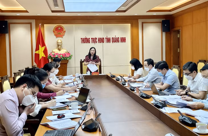 Đồng chí Vi Ngọc Bích, Phó Chủ tịch Thường trực HĐND tỉnh phát biểu kết luận cuộc họp.