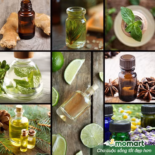 Đa dạng tinh dầu nguyên chất được chiết xuất từ thiên nhiên.