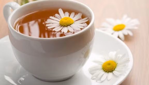 Trà hoa cúc giúp thanh phế nhiệt.