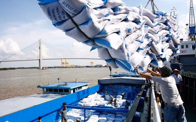 Khối lượng gạo xuất khẩu 3 tháng đầu năm nay đạt 1,48 triệu tấn. (Ảnh minh họa - Ảnh: TTXVN)