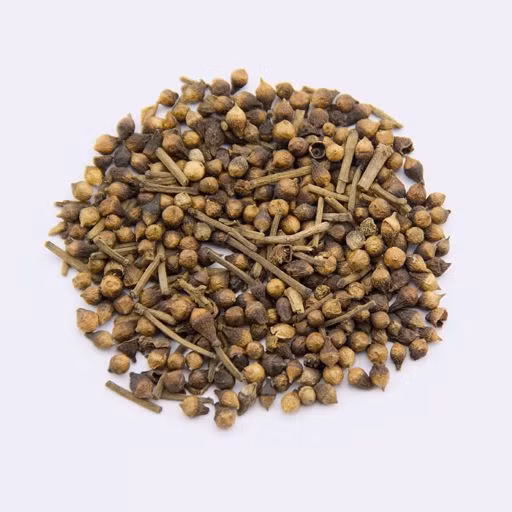 Nụ vối - vị thuốc giúp giải nhiệt cho cơ thể trong mùa nóng.