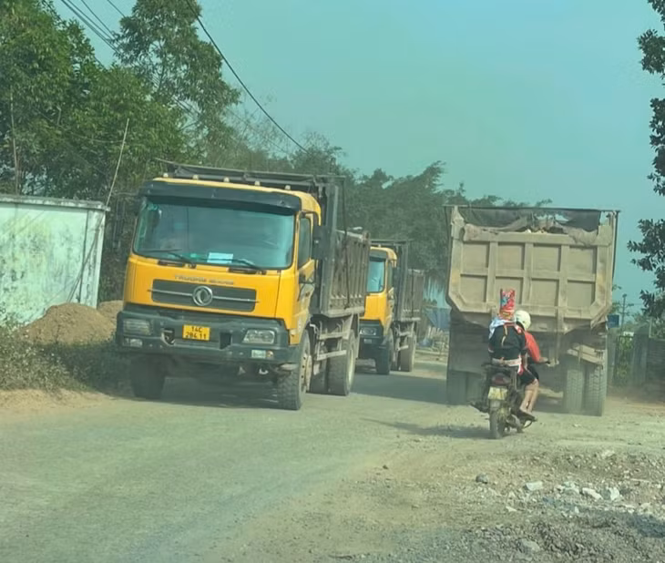  và được vận chuyển xuống Móng Cái tiêu thụ trái phép.