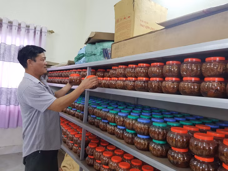 Nông dân Vũ Văn Thiết (xã Quảng Thành, huyện Hải Hà) phát triển sản phẩm OCOP Chanh đào mật ong để nâng cao thu nhập.