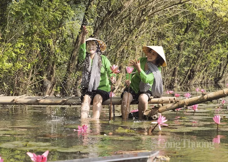 Phút lãng mạn cùng hoa súng.