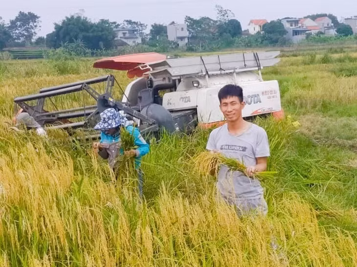 Mô hình kinh tế dịch vụ nông nghiệp của anh Nguyễn Thanh Ước (xã Quảng Long, huyện Hải Hà) được Huyện Đoàn tư vấn, phát triển thành HTX.