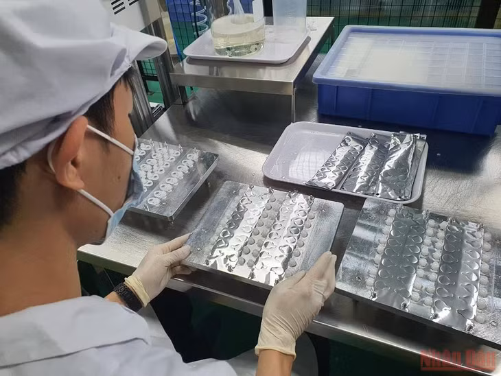 Dịch chiết để xét nghiệm nhanh virus SARS-CoV-2 được đóng gói vào từng ống nhỏ, thuận tiện cho người dùng khi tự xét nghiệm. Ảnh chụp ngày 19/12.