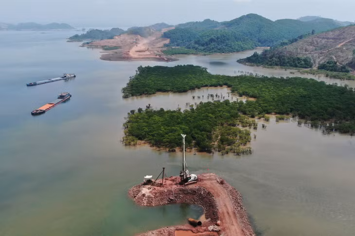 Cầu Đài Xuyên 1 nằm trên tuyến cao tốc Vân Đồn - Tiên Yên được điều chỉnh thiết kế, kéo dài nhịp ra thêm hơn 400m để bảo vệ rừng ngập mặn rộng khoảng 90ha ở xã Đài Xuyên (huyện Vân Đồn). Ảnh: Đỗ Phương