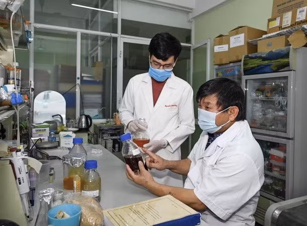 Van dung toi da quy dinh de cap phep luu hanh thuoc dieu tri COVID-19 hinh anh 1