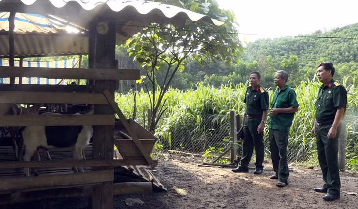 Mô hình phát triển kinh tế của CCB Phạm Văn Nhiêu (đứng giữa), xã Minh Cầm, huyện Ba Chẽ.