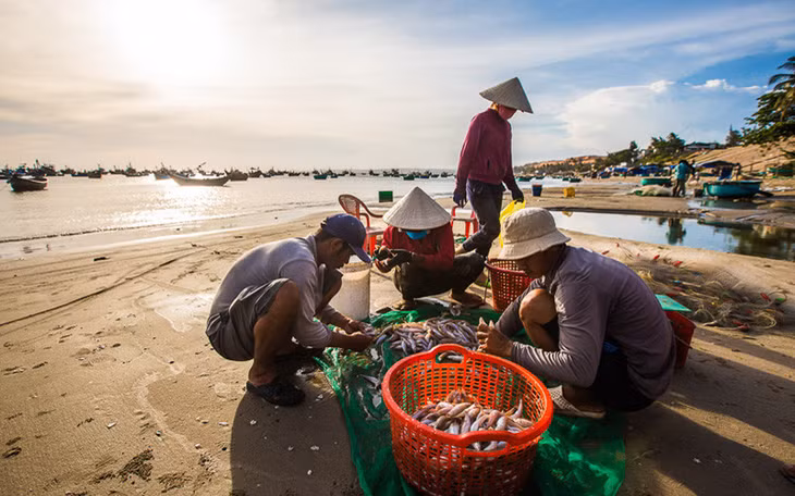 Chợ cá buổi sớm trên biển Mũi Né (Ảnh: VietnamTourism)