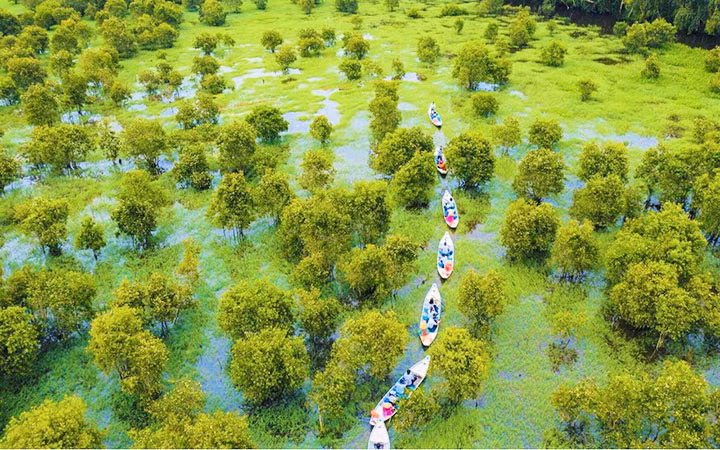 Du khách đi xuồng xuyên qua rừng tràm Trà Sư để hòa mình vào thiên nhiên thơ mộng.