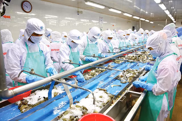 Xuất khẩu tôm hướng tới hơn 4 tỷ USD năm 2022 - Ảnh 1.
