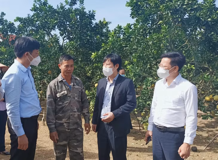 Lãnh đạo Trung ương HND Việt Nam và HND tỉnh Quảng Ninh tham quan mô hình trồng cây có múi của nông dân TX Đông Triều, tháng 11/2021.