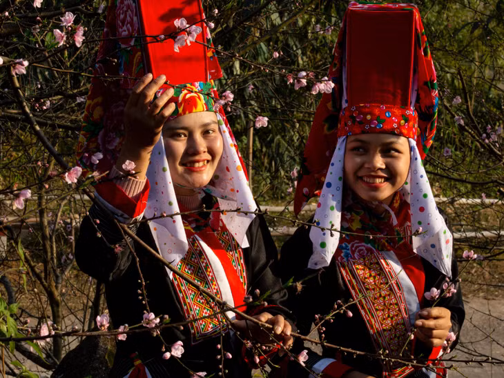 Ngắm hoa đào xuân.