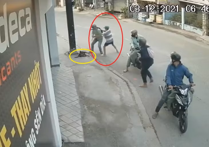 Các đối tượng đánh chủ nhà, cướp chó.