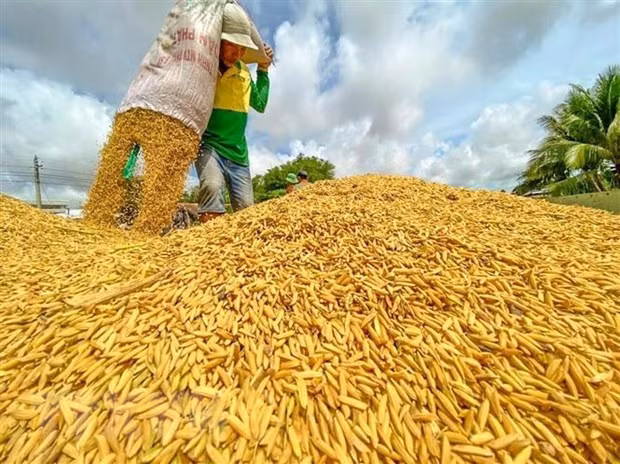 Nong dan la trung tam, nong nghiep la dong luc, nong thon la nen tang hinh anh 3
