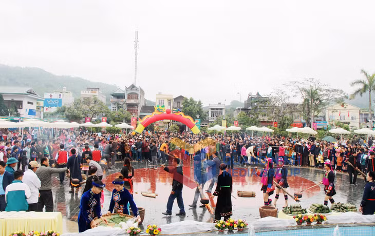 Hội Trà hoa vàng lần thứ II, năm 2018 (1-2018). Ảnh: Phạm Tăng