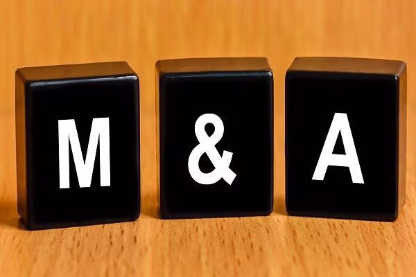 Thi truong M&A Viet Nam hap dan cac nha dau tu bat chap COVID-19 hinh anh 1