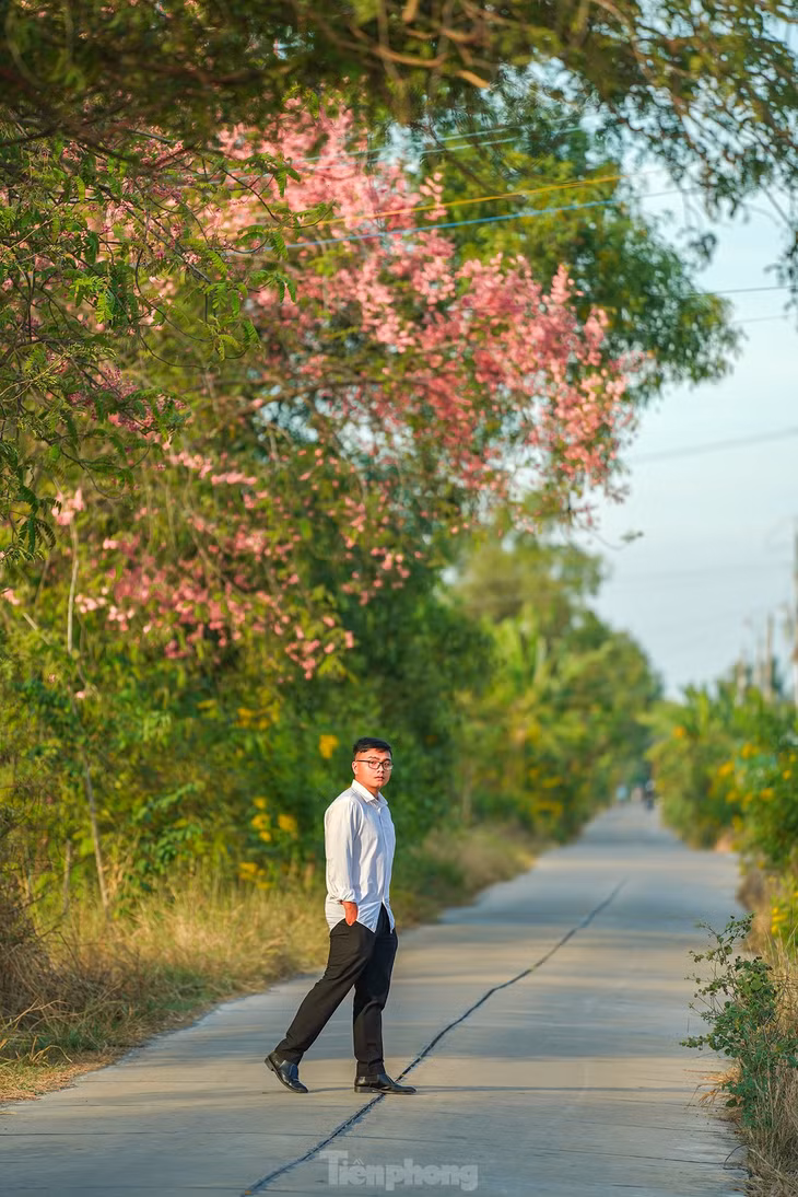 "Trong ký ức tuổi thơ tôi, ô môi mới để lại những kỷ niệm, nhất là trái của nó. Hồi còn nhỏ, mùa ô môi đến là mùa hạnh phúc nhất vì mỗi khi mẹ đi chợ về là tôi có quà. Thịt trái ô môi ăn ngon, mẹ dặn kỹ là ăn nhả xác, không được nuốt", bạn Phạm Thái Ngọc chia sẻ. Theo Thái Ngọc, cây ô môi bây giờ không còn nhiều, tôi cũng không thấy ở đâu bán giống cây này. Cách đây vài năm, trên đường quê, tôi thấy màu hoa hồng phơn phớt của một cây ven đường, dừng xe lại nhìn thì mới hay thì ra đó là cây ô môi. "Giờ cứ canh mùa hoa nở ra đây chụp ảnh", Thái Ngọc chia sẻ.