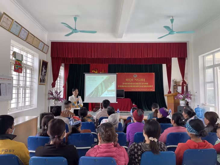 Hội Nông dân xã Quảng Tân (huyện Đầm Hà) tổ chức buổi tập huấn chuyển đổi số về hướng dẫn, tạo điều kiện hỗ trợ cho các hộ nông dân có sản phẩm nông nghiệp lên sàn thương mại điện tử.