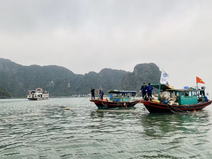 BQL Vịnh Hạ Long huy động trên 20 tàu, xuồng, đò và gần 100 người tổ chức ra quân tại tất cả các luồng, tuyến tham quan trên Vịnh Hạ Long để thu gom, vận chuyển phao xốp, rác trôi nổi trên mặt Vịnh Hạ Long về bờ.