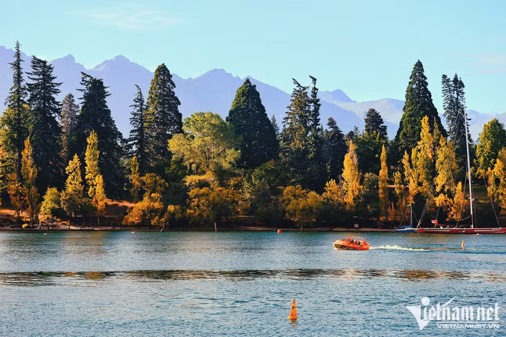 Wakatipu đẹp rực rỡ nhất vào buổi chiều tà khi tia nắng đang yếu dần. Đó là lúc những chiếc cano chở du khách từ bến cảng nhỏ tại trung tâm thị trấn lướt nhiều vòng trên hồ ngắm cảnh.