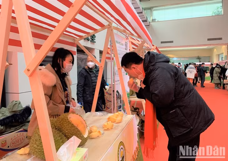 Người tiêu dùng Trung Quốc chào đón nồng nhiệt sầu riêng Việt Nam. (Ảnh: HỮU HƯNG)
